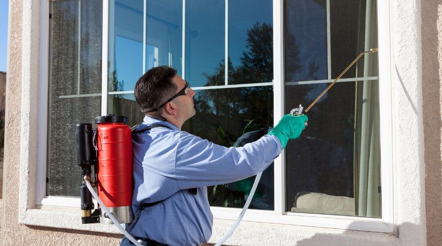 Professional pest control services services in New Jersey